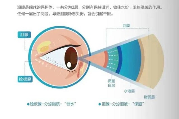 1677542790222492.jpg 111.jpg