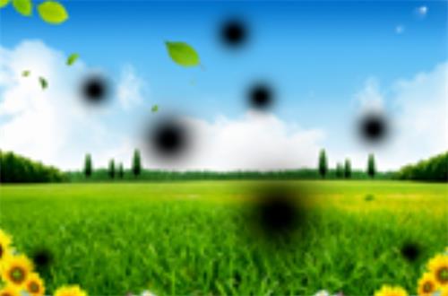 1704937952449078.jpg 1.jpg