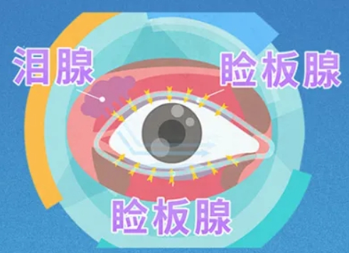 1712112605729397.jpg 3.jpg