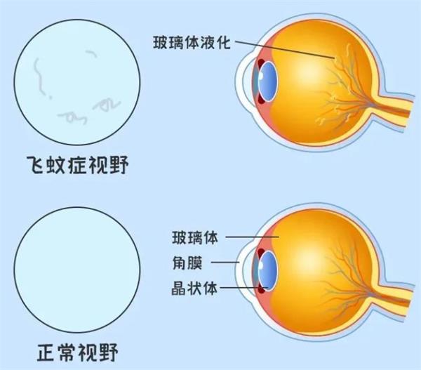 1712113345114089.jpg 1.jpg